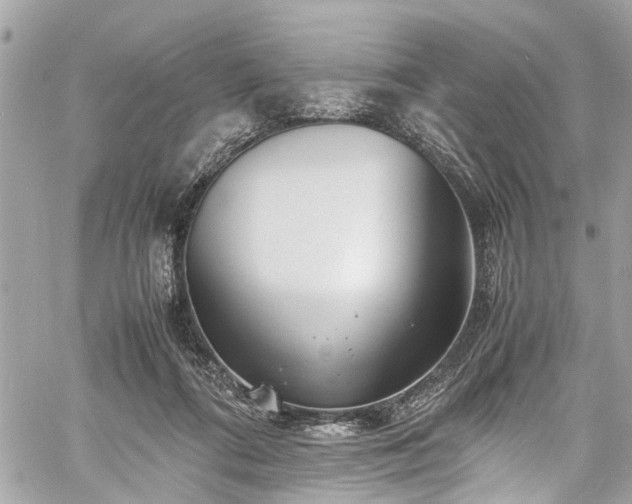 X0000060750312200511141206