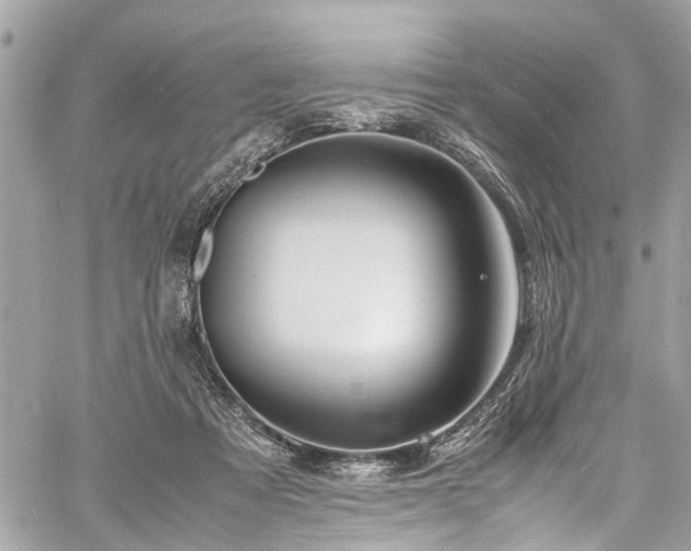 X0000060750313200511141206