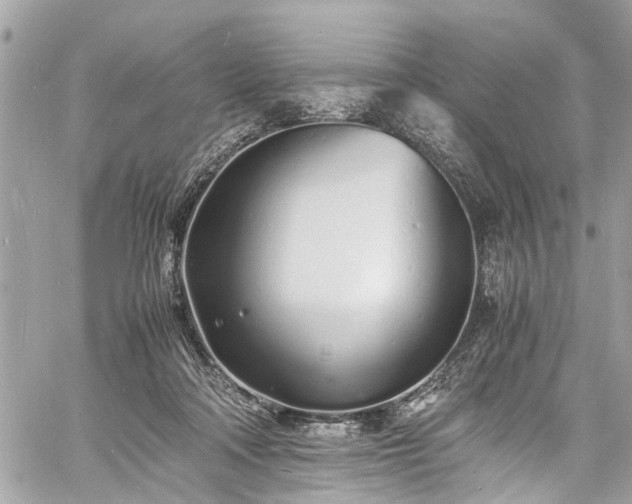 X0000060750314200511141206