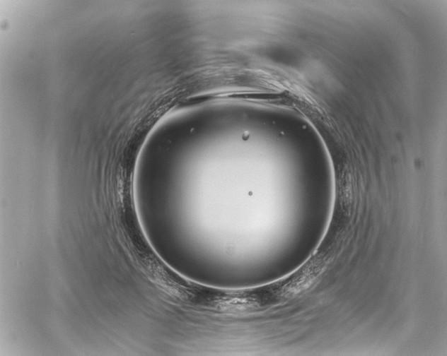 X0000060750315200511141206