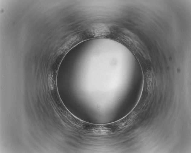 X0000060750316200511141206