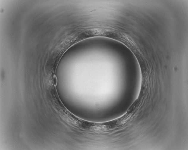 X0000060750317200511141206