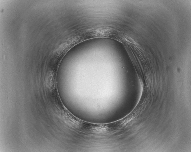 X0000060750318200511141206