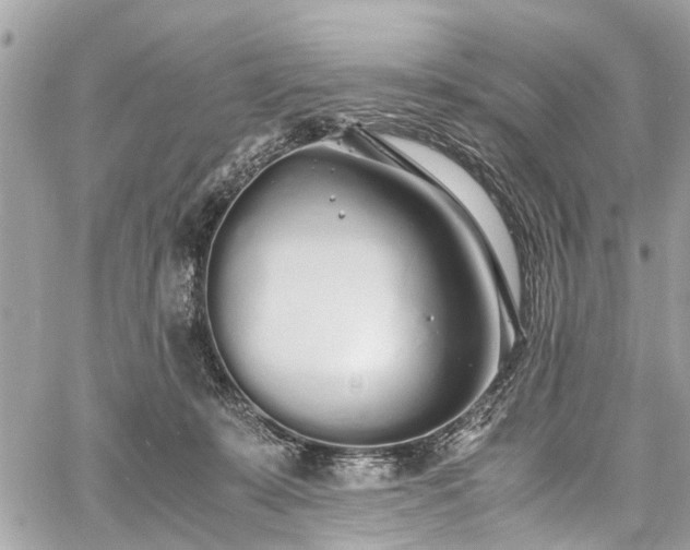 X0000060750319200511141205