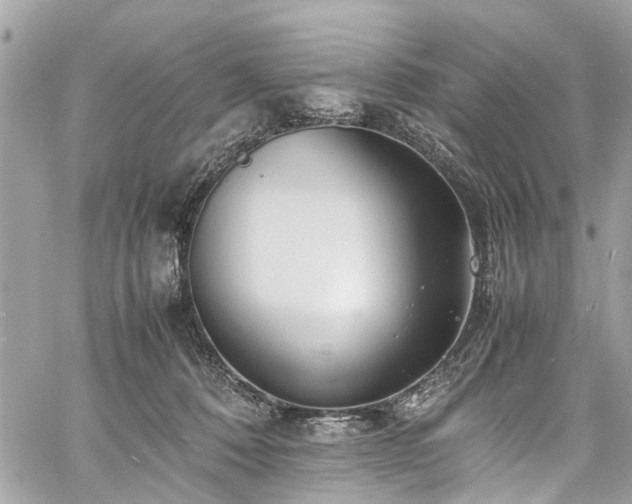 X0000060750320200511141205