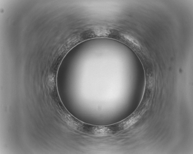 X0000060750321200511141205