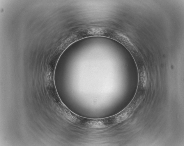 X0000060750322200511141205