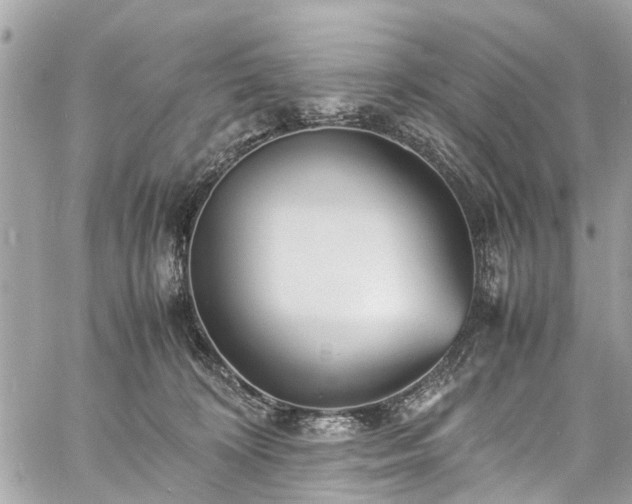 X0000060750324200511141205