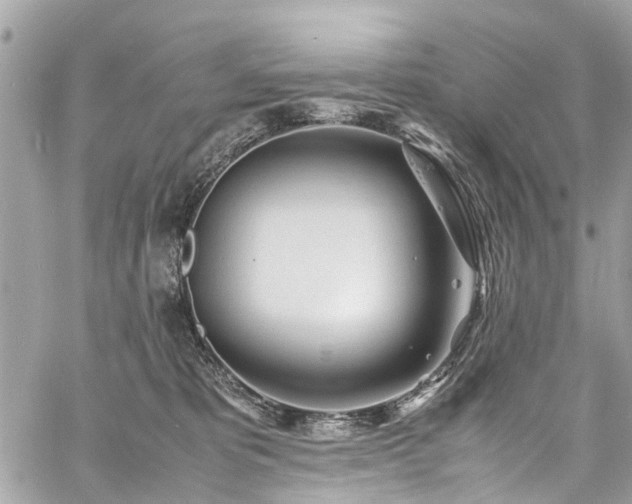 X0000060750325200511141205