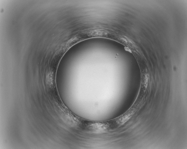 X0000060750326200511141205