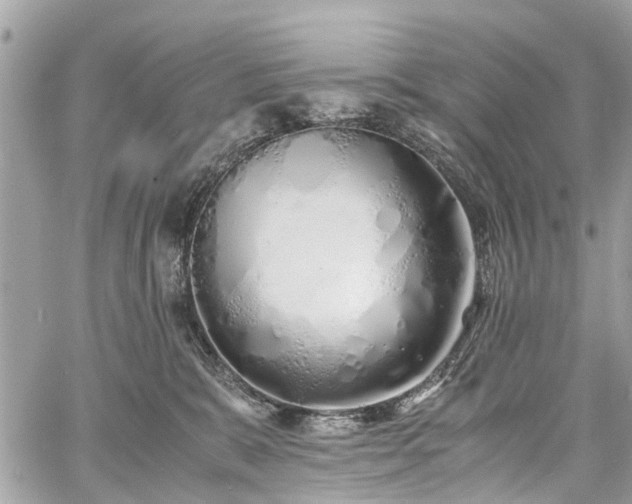 X0000060750327200511141205