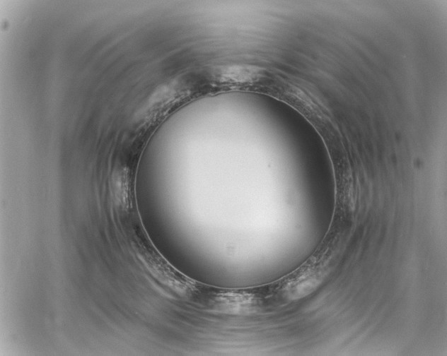 X0000060750328200511141205