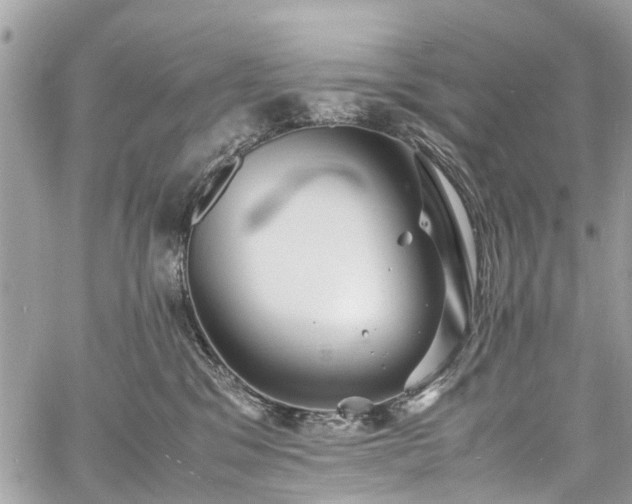 X0000060750329200511141205