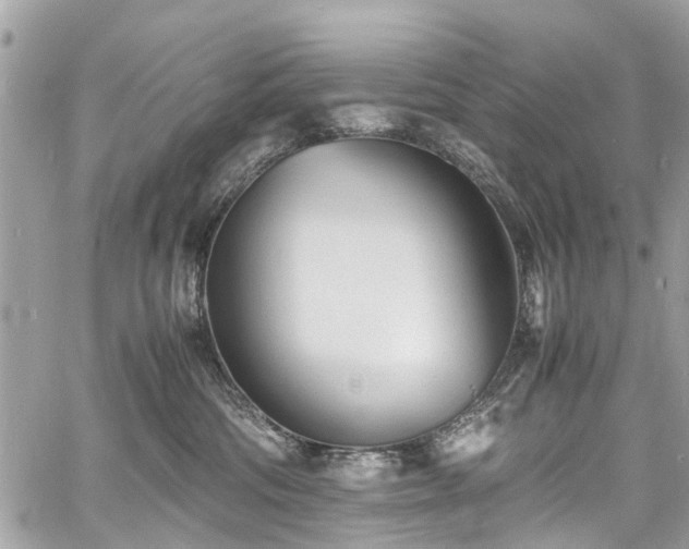 X0000060750330200511141205