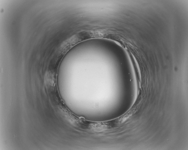 X0000060750331200511141205