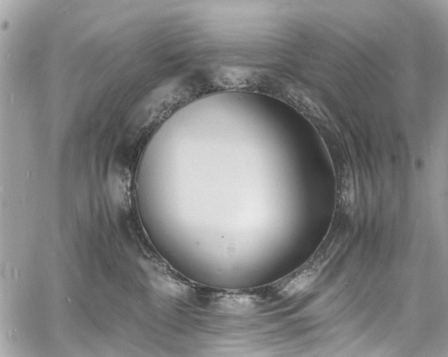 X0000060750332200511141205