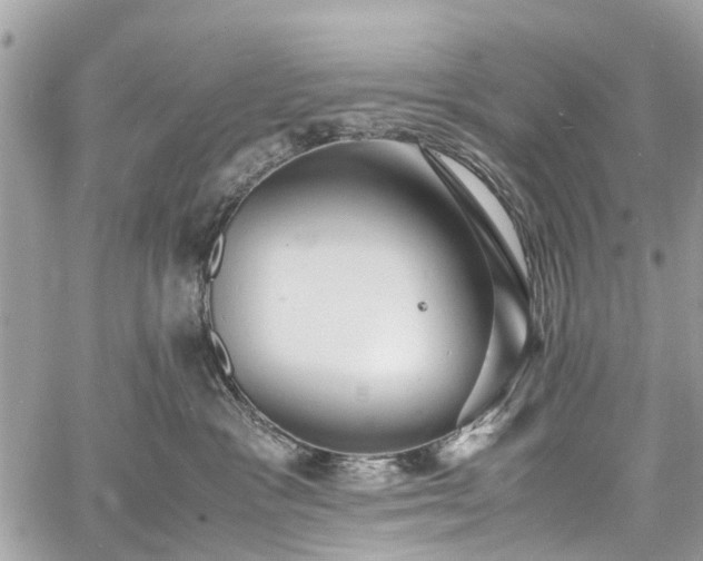 X0000060750333200511141205