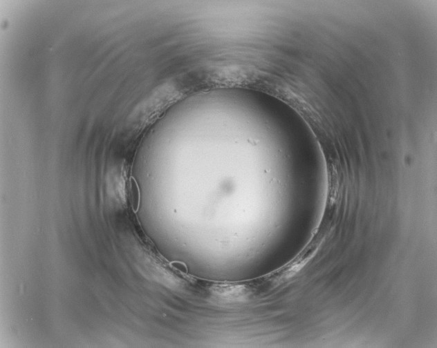 X0000060750334200511141205