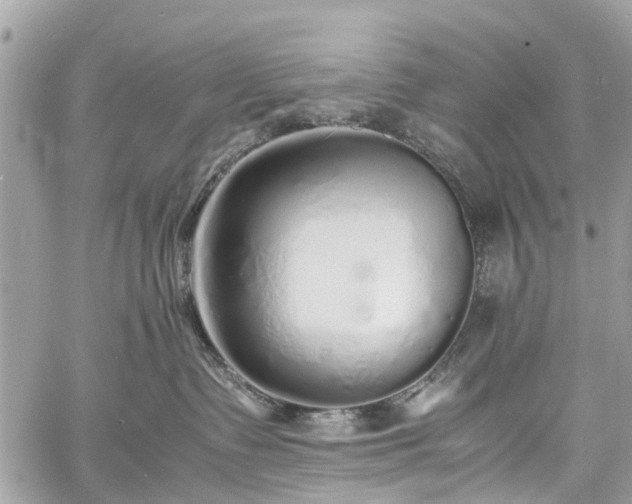 X0000060750335200511141205