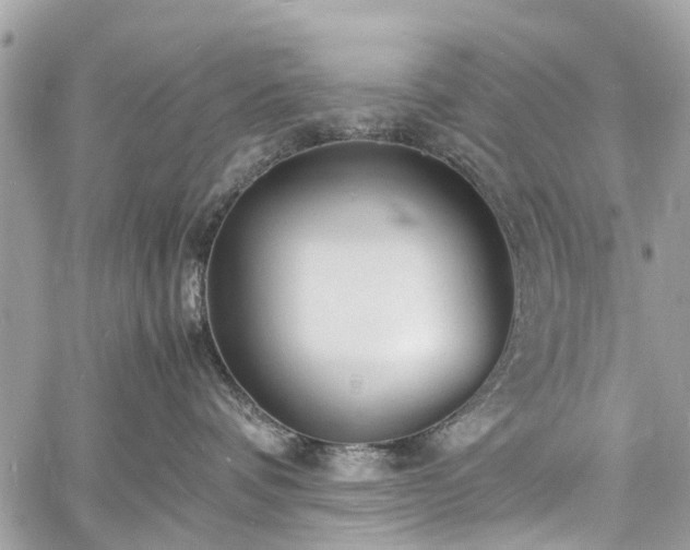 X0000060750336200511141205