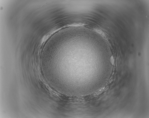 X0000060750337200511141204