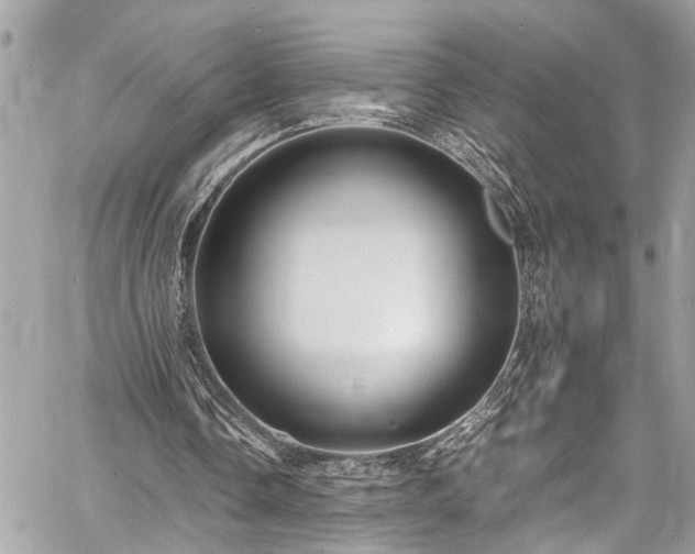 X0000060750338200511141204