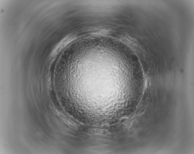 X0000060750339200511141204