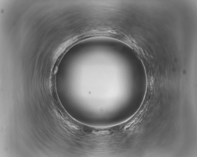 X0000060750340200511141204