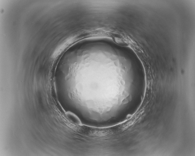 X0000060750341200511141204