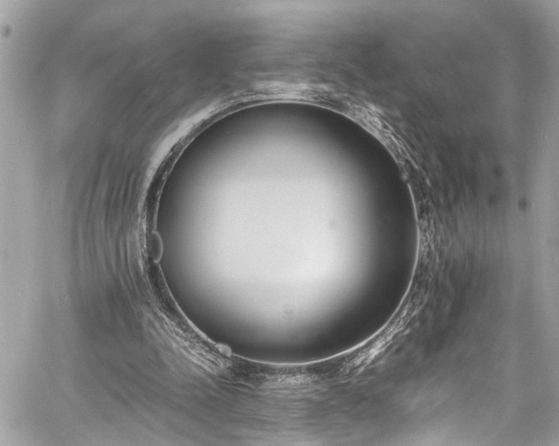 X0000060750342200511141204