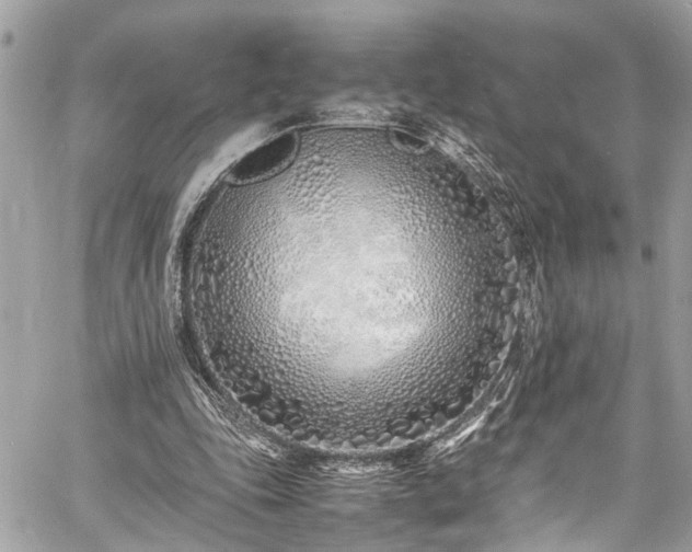 X0000060750343200511141204