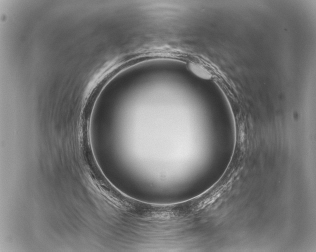 X0000060750344200511141205