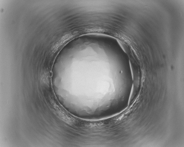 X0000060750345200511141205