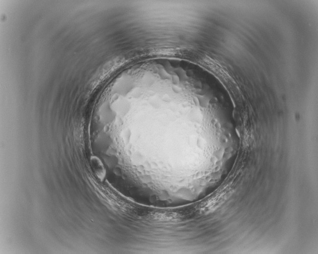 X0000060750346200511141205