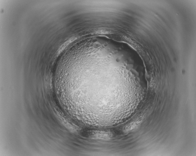 X0000060750347200511141205