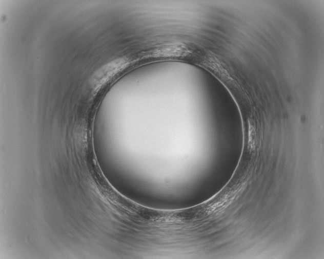 X0000060750348200511141205