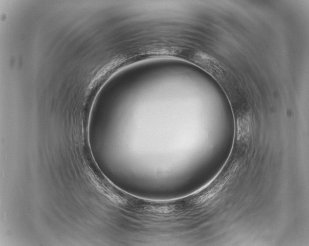 X0000060750349200511141205