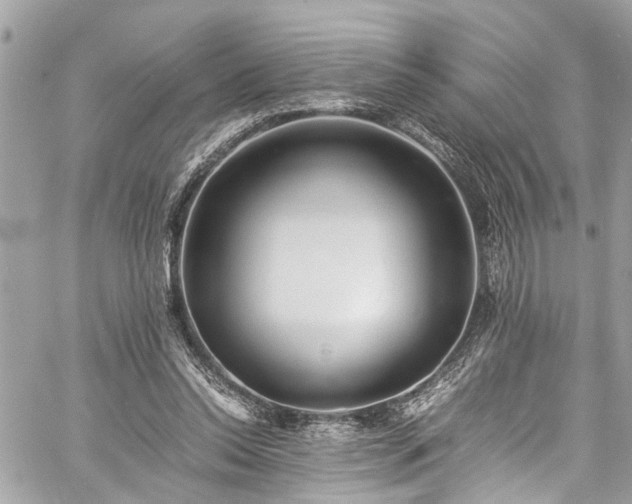 X0000060750350200511141205