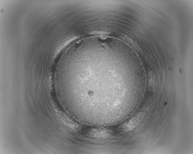 X0000060750351200511141205