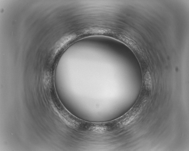 X0000060750352200511141205