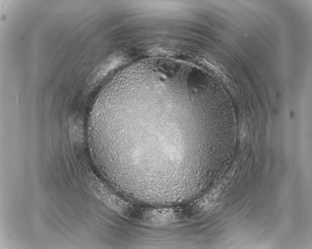 X0000060750353200511141205