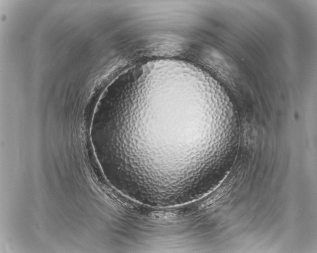 X0000060750354200511141205