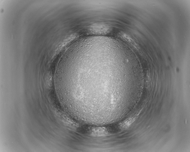 X0000060750355200511141205