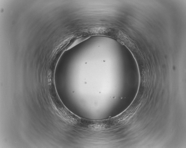 X0000060750356200511141205