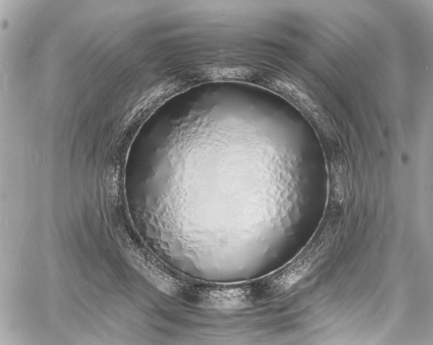 X0000060750357200511141205