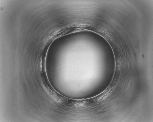 X0000060750358200511141205