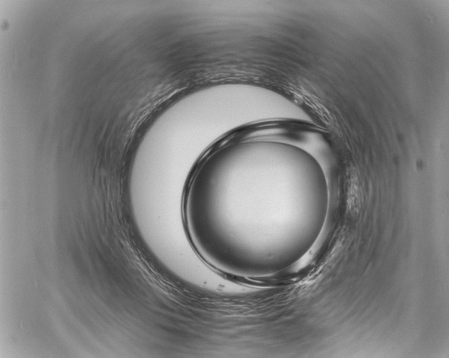 X0000060750359200511141205