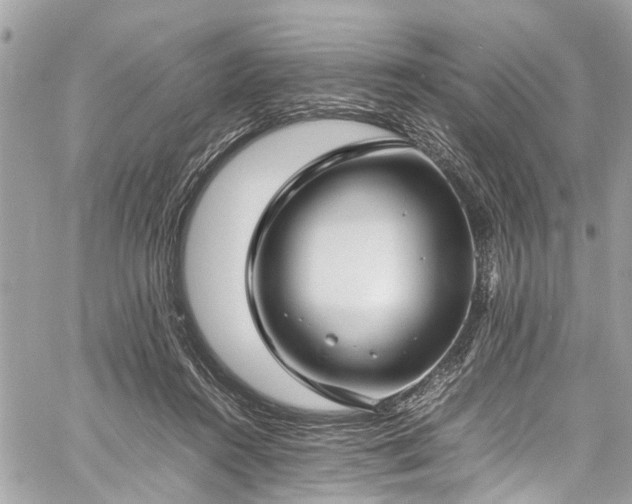 X0000060750360200511141205