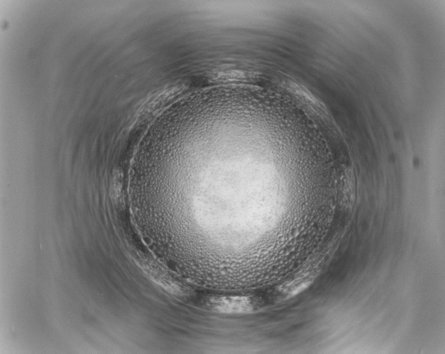 X0000060750361200511141205