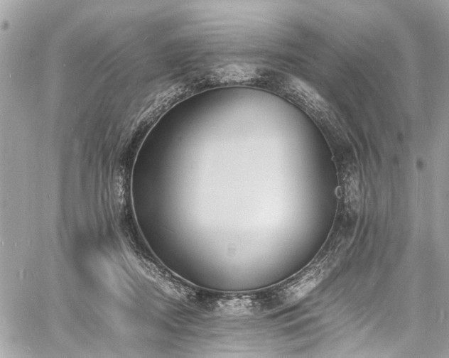 X0000060750362200511141205